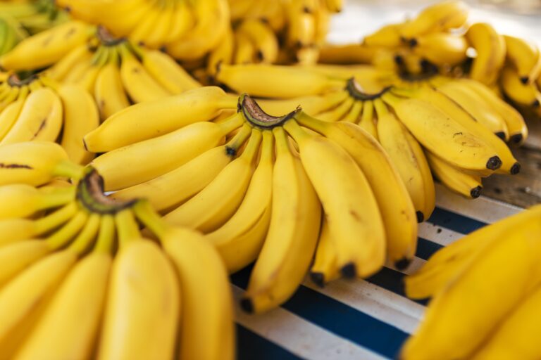 Cavendish Banana vs. Plantain: What Buyers Get Wrong