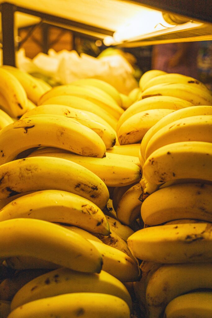 Stacks of banana bunches in a warehouse export facility