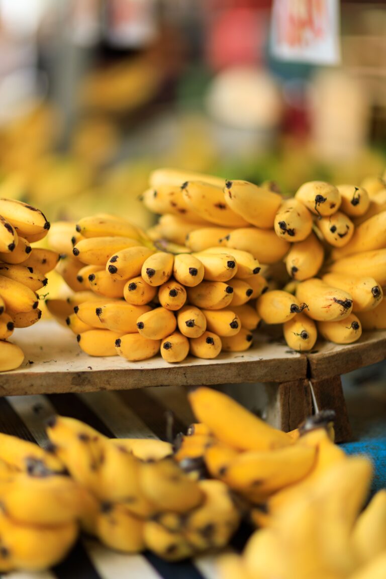 Certificaciones y Trámites que Necesita un Productor Bananero para Exportar