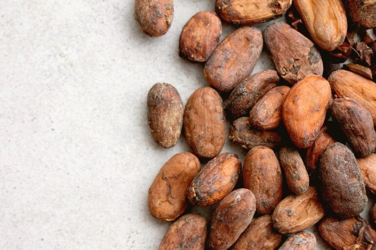Nacional Cacao vs. CCN-51: What Buyers Need to Know Before Choosing a Supplier
