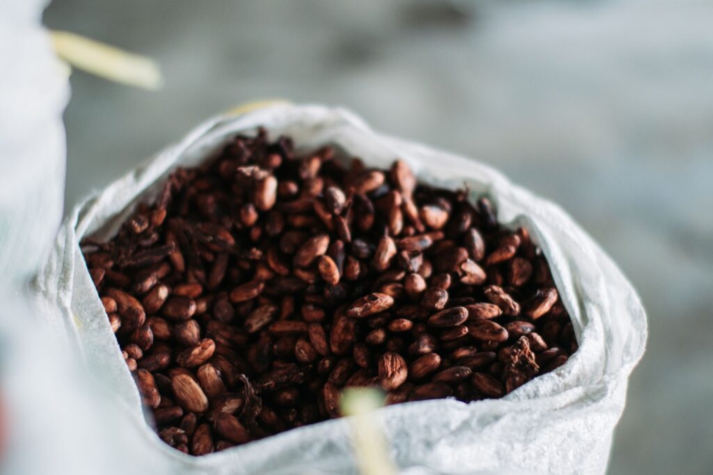 premium Ecuador cocoa vs West Africa chocolate