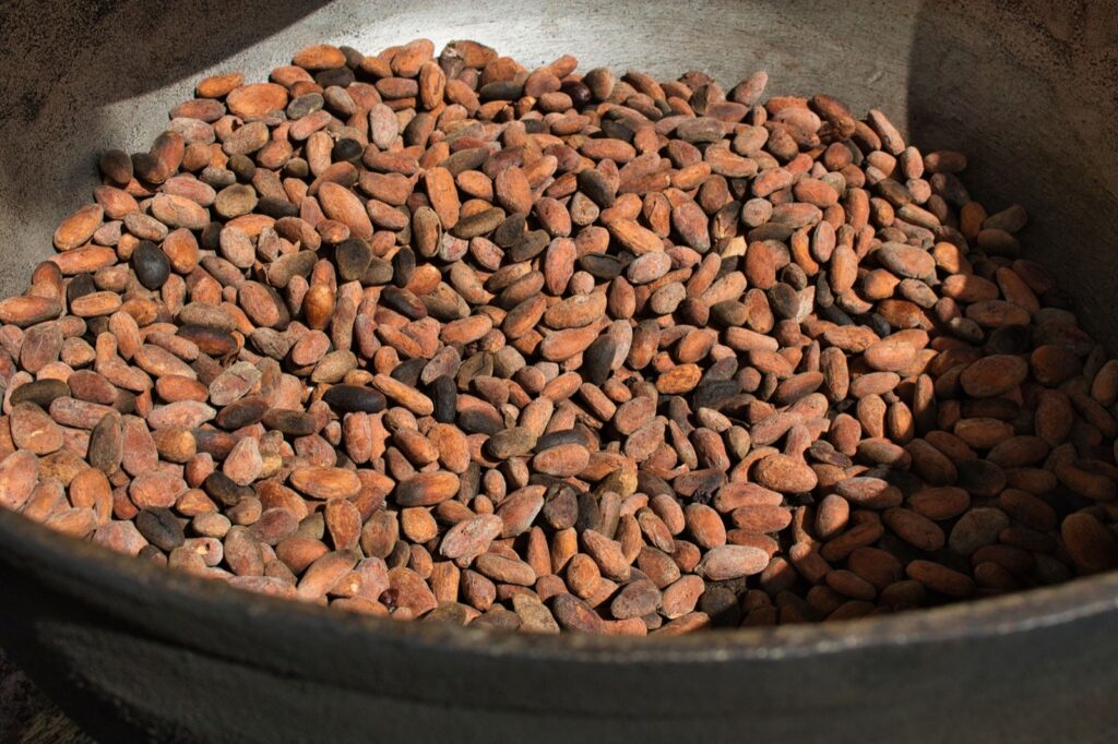 cacao fermentation Ecuador export quality