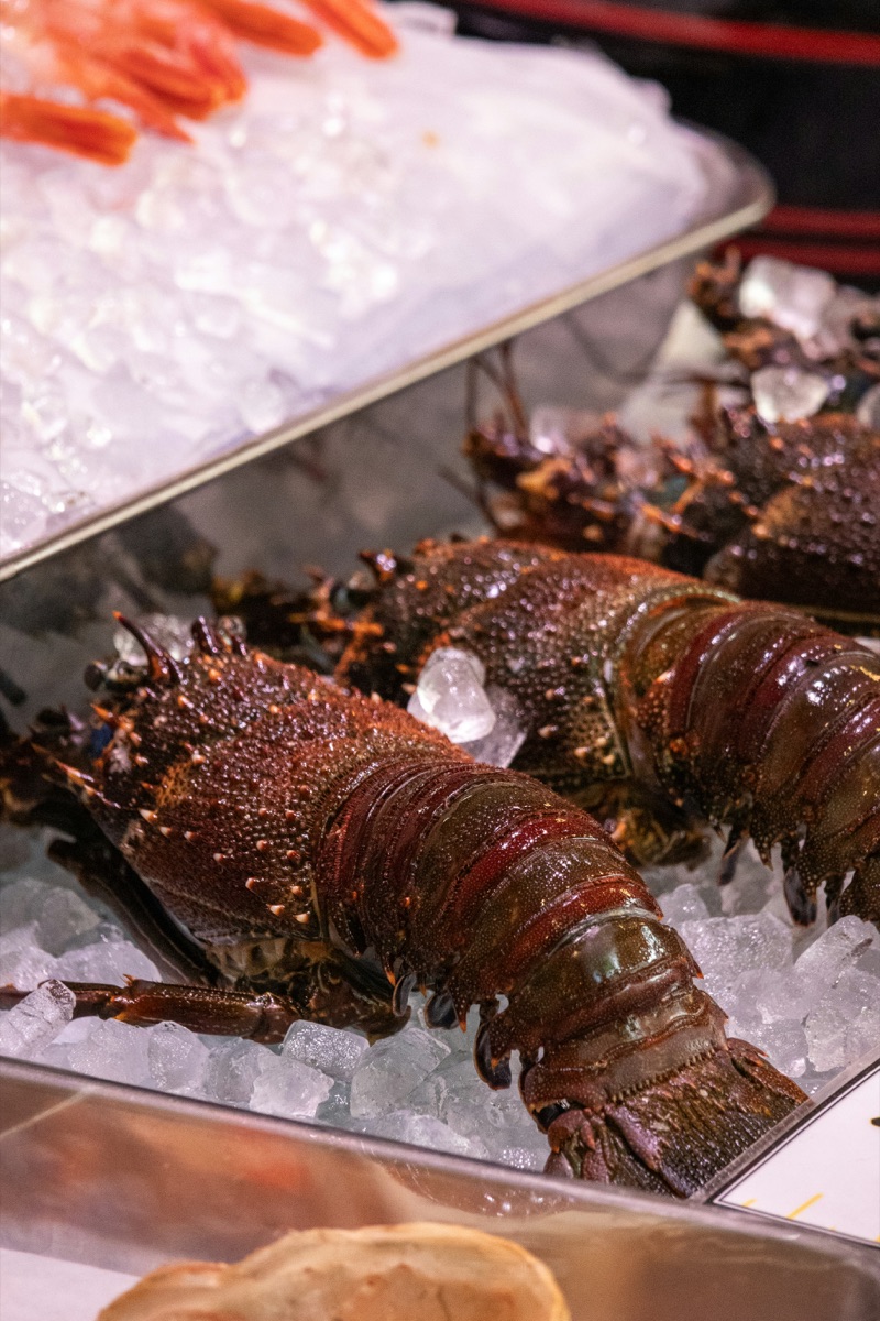 Fresh spiny lobster on ice