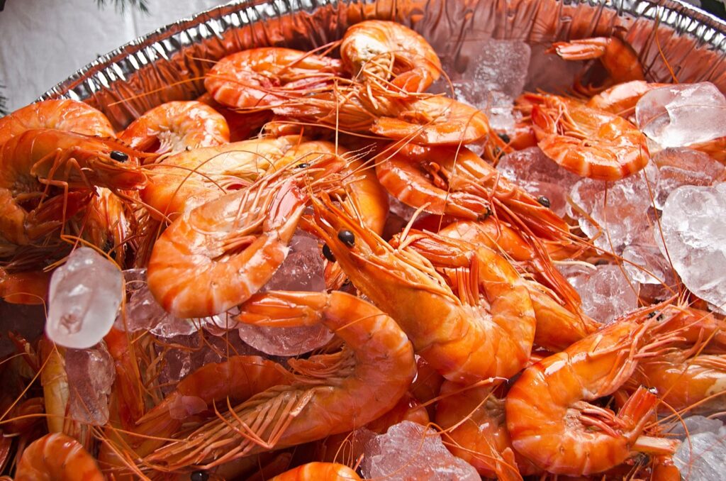 Ecuador shrimp export record 2026 vannamei
