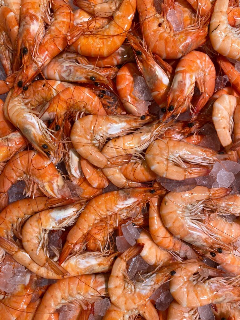 Shrimp Melanosis Explained: Why Metabisulfite Stops Black Spot