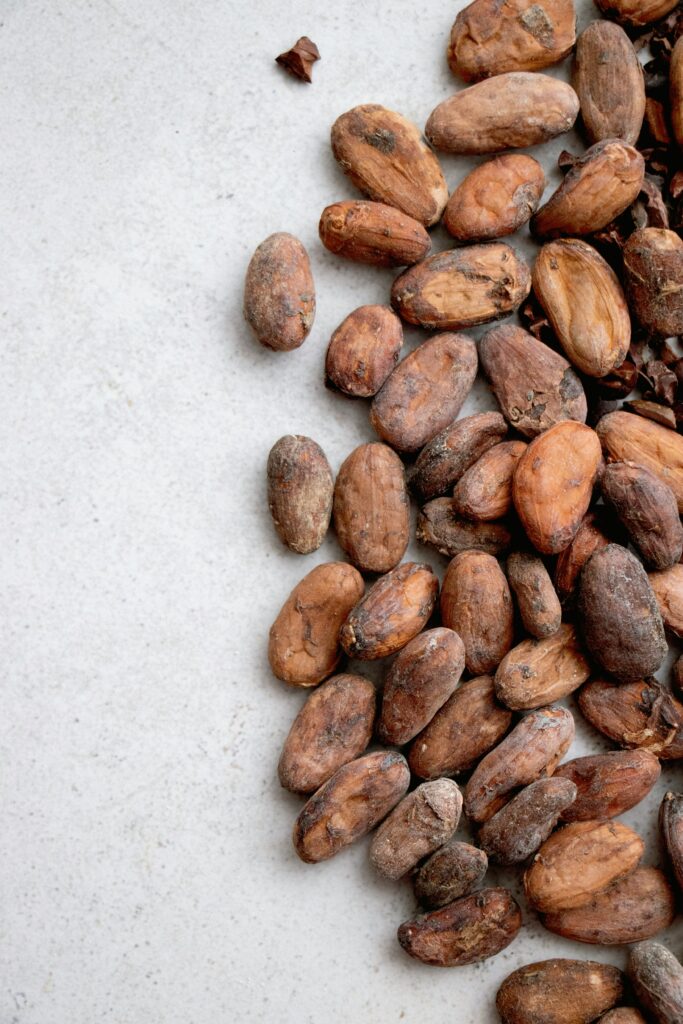 Pile of dried cacao beans ready for bulk export packing