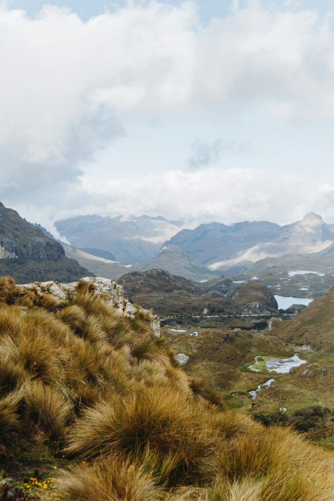 Paisaje del páramo andino en el Parque Nacional Cajas, Ecuador